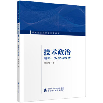 技術政治戰略、安全與經濟