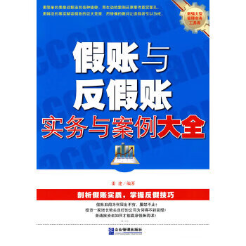 假賬與反假賬實務與案例大全 假賬與反假賬實務與案例大全