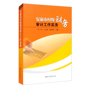 安康市村級財務審計工作實務 安康市村級財務審計工作實務