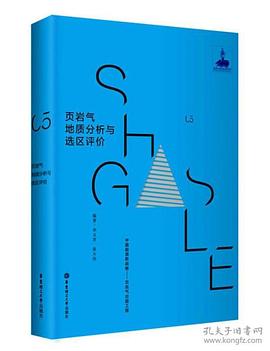 頁巖氣地質分析與選區評價 頁巖氣地質分析與選區評價