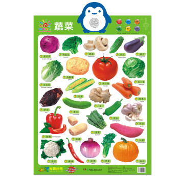 陽光寶貝新版有聲掛圖蔬菜 陽光寶貝新版有聲掛圖蔬菜