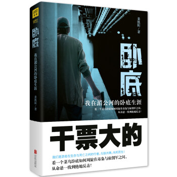臥底我在湄公河的臥底生涯 臥底我在湄公河的臥底生涯