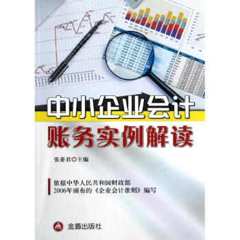 中小企業會計財務實例解讀 中小企業會計財務實例解讀