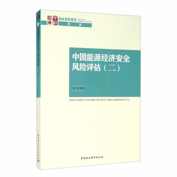 中國能源經濟安全風險評估 中國能源經濟安全風險評估