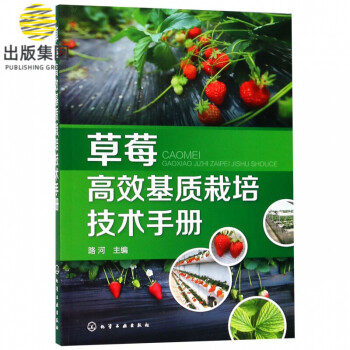 草莓高效基質(zhì)栽培技術(shù)手冊 草莓高效基質(zhì)栽培技術(shù)手冊