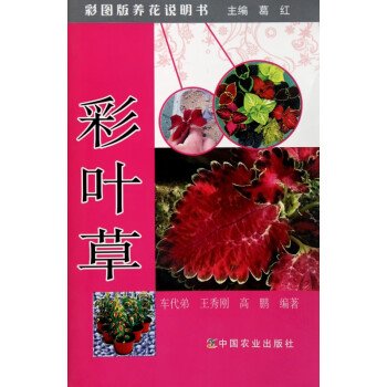 彩葉草/彩圖版養花說明書 彩葉草/彩圖版養花說明書