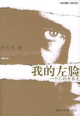 我的左臉一個人的青春史 我的左臉一個人的青春史