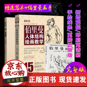 伯里曼人體結構繪畫教學 伯里曼人體結構繪畫教學
