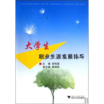 大學生職業生涯發展指導 大學生職業生涯發展指導