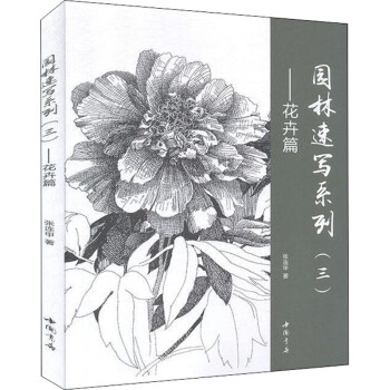 園林速寫系列——花卉篇 園林速寫系列——花卉篇