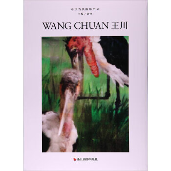 王川-中國當代攝影圖錄 王川-中國當代攝影圖錄