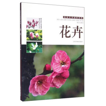 畫家實用攝影圖集花卉 畫家實用攝影圖集花卉