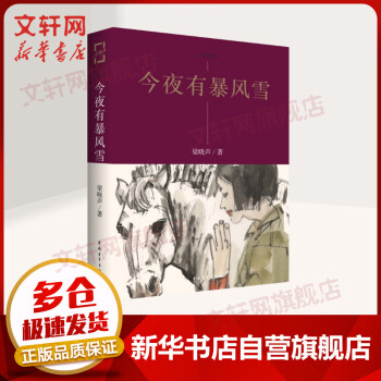 今夜有暴風雪梁曉聲作品 今夜有暴風雪梁曉聲作品