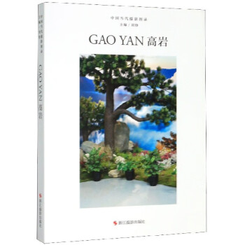 高巖/中國(guó)當(dāng)代攝影圖錄 高巖/中國(guó)當(dāng)代攝影圖錄