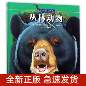 叢林動物/動物面對面 叢林動物/動物面對面
