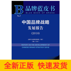 中國品牌戰略發展報告 中國品牌戰略發展報告