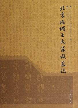 北宋臨城王氏家族墓志 北宋臨城王氏家族墓志