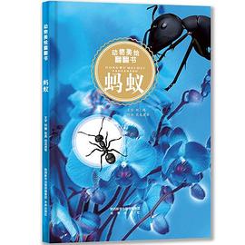 螞蟻/動物美繪翻翻書 螞蟻/動物美繪翻翻書