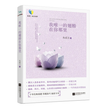 我唯一的翅膀在你那里 我唯一的翅膀在你那里
