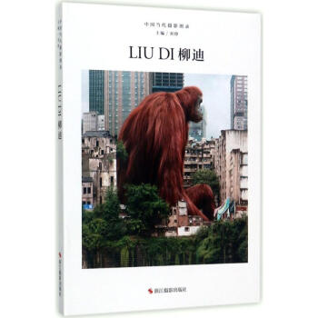 中國當代攝影圖錄柳迪 中國當代攝影圖錄柳迪