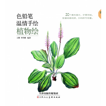 色鉛筆溫情手繪植物繪 色鉛筆溫情手繪植物繪