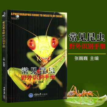 常見昆蟲野外識別手冊 常見昆蟲野外識別手冊