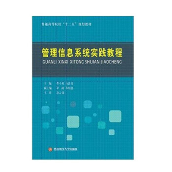 管理信息系統實踐教程 管理信息系統實踐教程