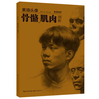 素描頭像骨骼肌肉剖析 素描頭像骨骼肌肉剖析