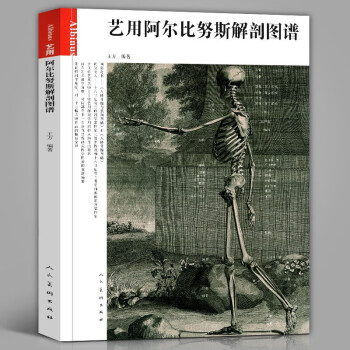 跟伯里曼學(xué)畫人體結(jié)構(gòu) 跟伯里曼學(xué)畫人體結(jié)構(gòu)