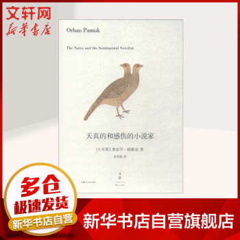天真的和感傷的小說家 天真的和感傷的小說家
