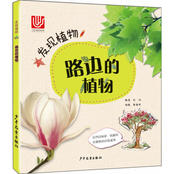 發現植物路邊的植物 發現植物路邊的植物