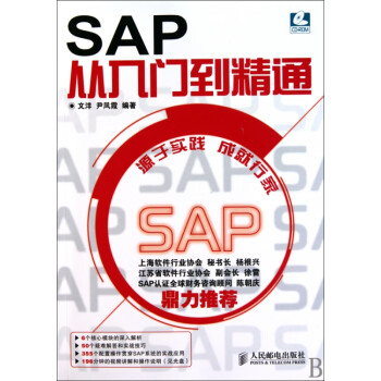 SAP從入門到精通 SAP從入門到精通