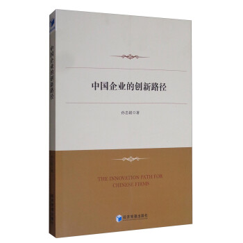 中國企業(yè)的創(chuàng)新路徑 中國企業(yè)的創(chuàng)新路徑