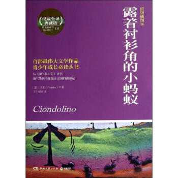 露著襯衫角的小螞蟻 露著襯衫角的小螞蟻
