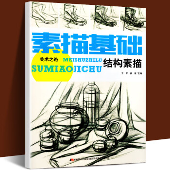 素描基礎(chǔ)-結(jié)構(gòu)素描 素描基礎(chǔ)-結(jié)構(gòu)素描