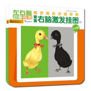 寶寶右腦激發(fā)掛圖 寶寶右腦激發(fā)掛圖