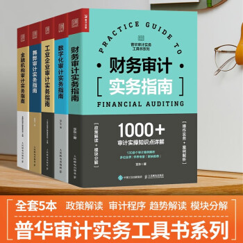 財務(wù)審計實務(wù)指南 財務(wù)審計實務(wù)指南