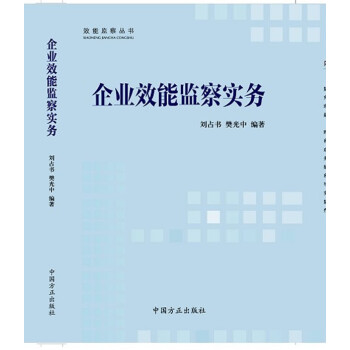 企業(yè)效能監(jiān)察實務(wù) 企業(yè)效能監(jiān)察實務(wù)