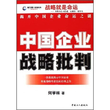 中國企業戰略批判 中國企業戰略批判