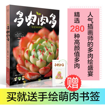 懶人多肉一養(yǎng)就活 懶人多肉一養(yǎng)就活