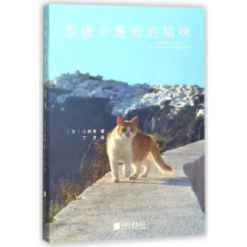 旅途中邂逅的貓咪 旅途中邂逅的貓咪