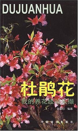 杜鵑花 杜鵑花