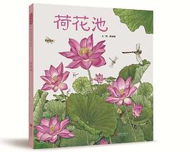 荷花池 荷花池