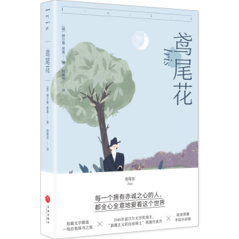 鳶尾花 鳶尾花