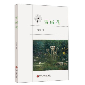 雪絨花 雪絨花