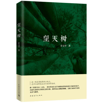 望天樹 望天樹