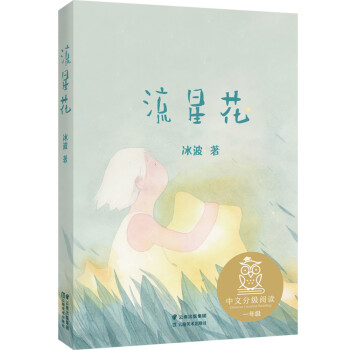 流星花 流星花