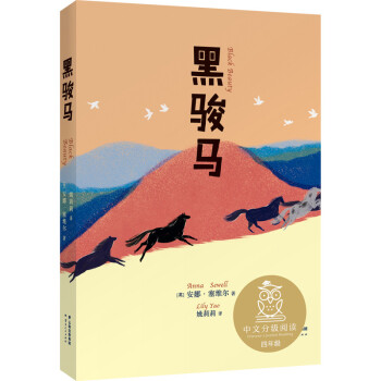 黑駿馬 黑駿馬