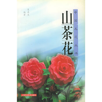 山茶花 山茶花