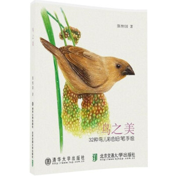 鳥之美 鳥之美